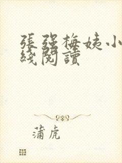 张强梅姨小说在线阅读