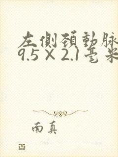 左侧颈动脉斑块9.5×2.1毫米