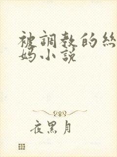 被调教的丝袜妈妈小说