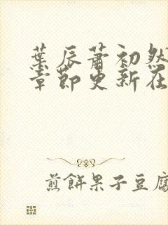 叶辰萧初然最新章节更新在线阅读