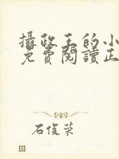 摄政王的小闲妻免费阅读正版