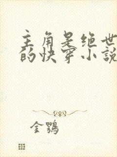 主角是绝世美人的快穿小说