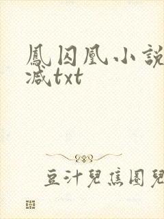 凤囚凰小说未删减txt