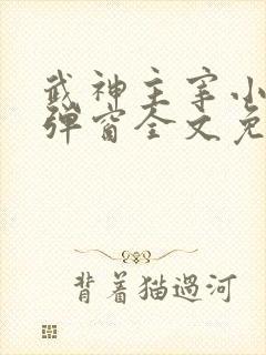 武神主宰小说无弹窗全文免费阅读