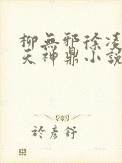 柳无邪徐凌雪吞天神鼎小说在线阅读