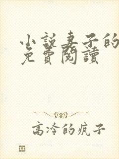 小说妻子的秘密免费阅读