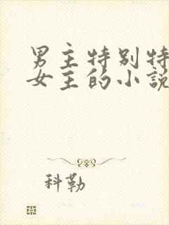男主特别特别爱女主的小说