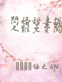 闪婚甜妻总裁大人难免费阅读