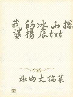 我的冰山总裁老婆杨辰txt