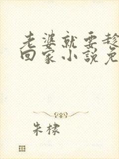 老婆就要趁早娶回家小说免费阅读