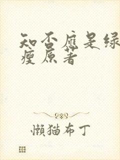 知否应是绿肥红瘦原著