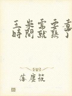 玉米需要煮多长时间就熟了