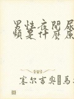 男性夜间尿多尿频是什么原因引起的