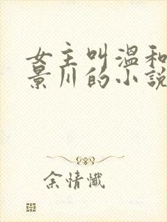 女主叫温和,周景川的小说