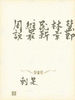 周维民林慧妍小说最新章节更新内容