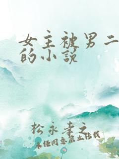 女主被男二强占的小说