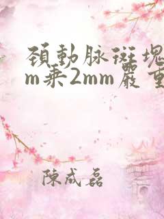 颈动脉斑块5mm乘2mm严重吗