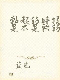 勃起的时候龟头是不是软的