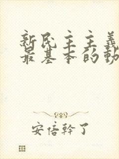 新民主主义革命最基本的动力是( ).