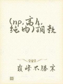 (np,高h,纯肉)调教