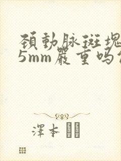 颈动脉斑块1.5mm严重吗能治好吗