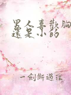 男人喜欢胸大的还是小的