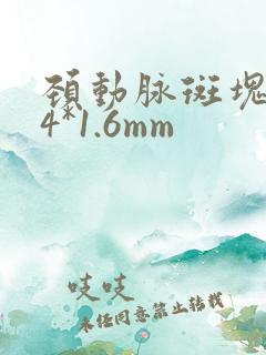 颈动脉斑块7.4*1.6mm