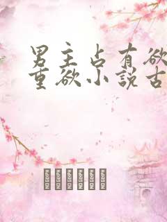 男主占有欲强且重欲小说古言