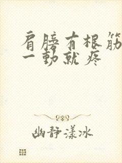 肩膀有根筋胳膊一动就疼