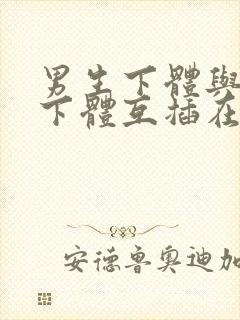 男生下体与女生下体互插在线视频