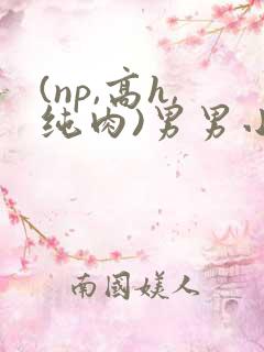 (np,高h,纯肉)男男小说