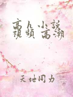 高 h 小说 视频 高潮