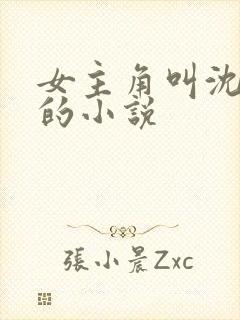 女主角叫沈傲雪的小说