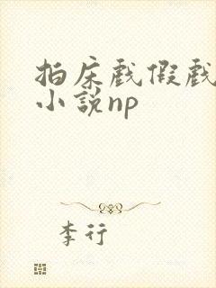 拍床戏假戏真做小说np