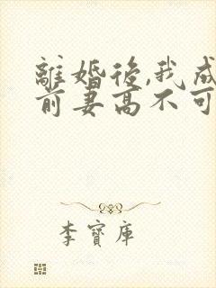 离婚后,我成了前妻高不可攀的神