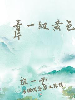 看一级黄色国产片