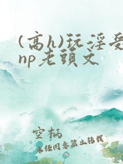 (高h)玩淫受np老头文