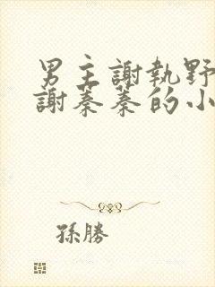 男主谢执野女主谢蓁蓁的小说