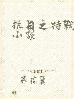 抗日之特战兵王小说