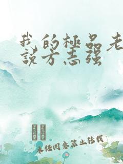 我的极品老婆小说方志强