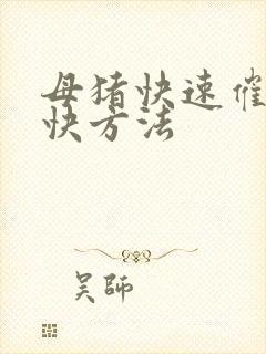 母猪快速催奶最快方法