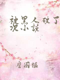 被黑人破了第一次小说