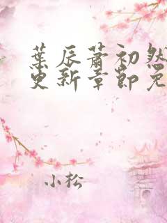 叶辰萧初然最新更新章节免费阅读