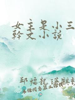 女主是小三的高干文小说