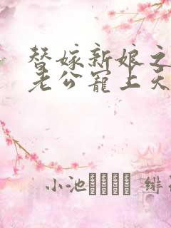 替嫁新娘之亿万老公宠上天