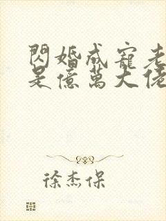 闪婚成宠老公竟是亿万大佬