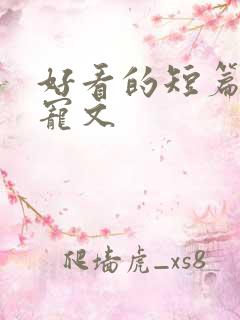 好看的短篇小说宠文