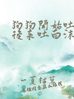 狗狗开始吐黄水后来吐白沫