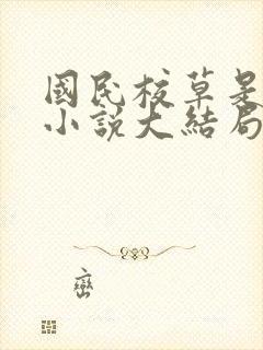 国民校草是女生小说大结局