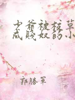 少爷被校草调教成贱奴的小说